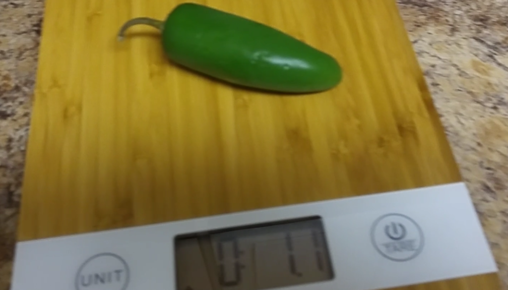 Smart Weigh Digital Bamboo Kitchen Scale (Review)